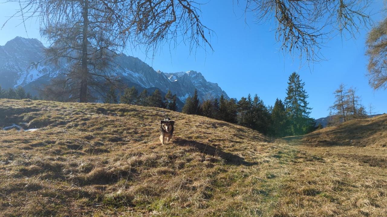 Landhaus Steinbrech Grainau Buitenkant foto